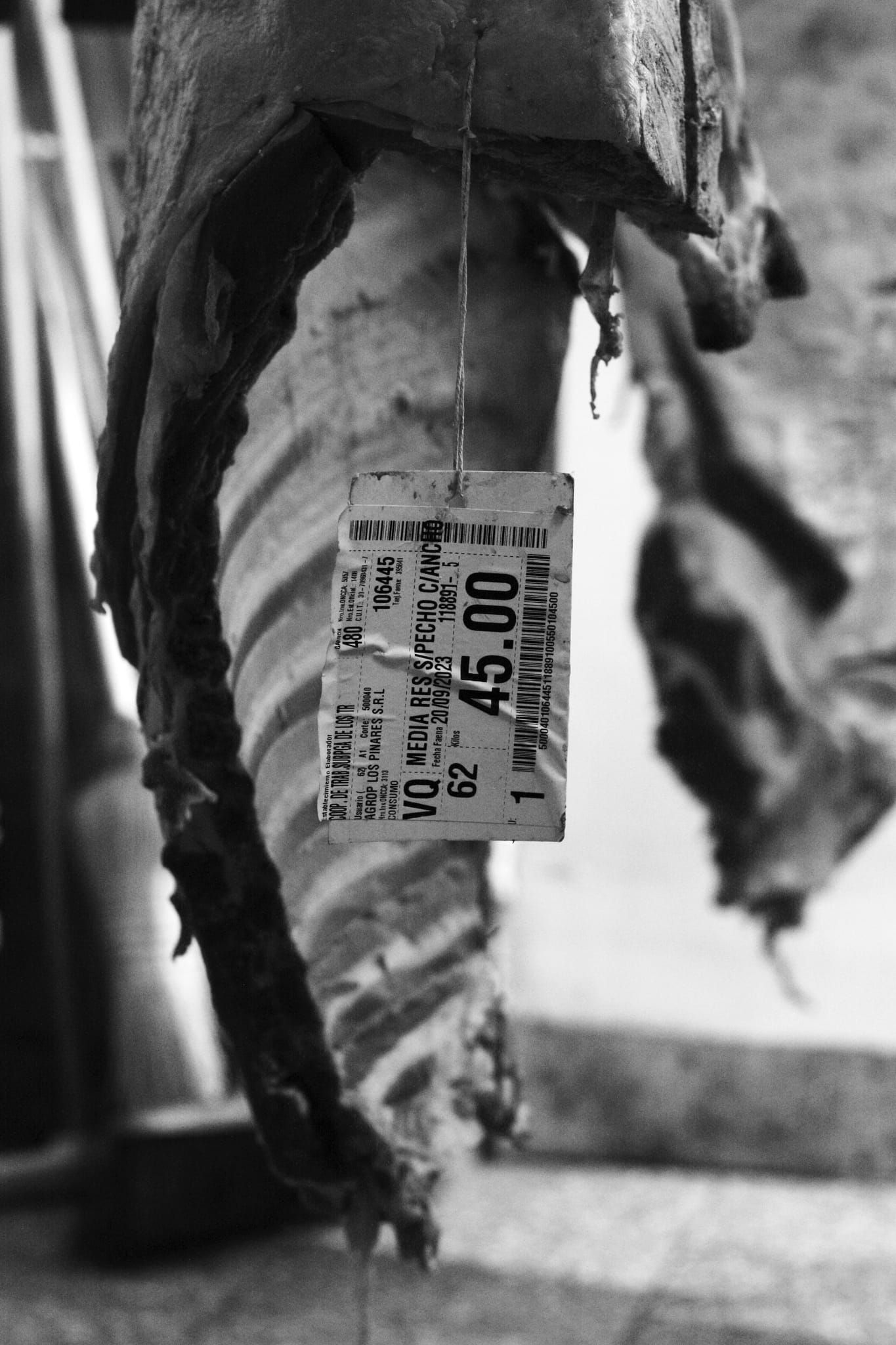 Carne, Antonela Guerra