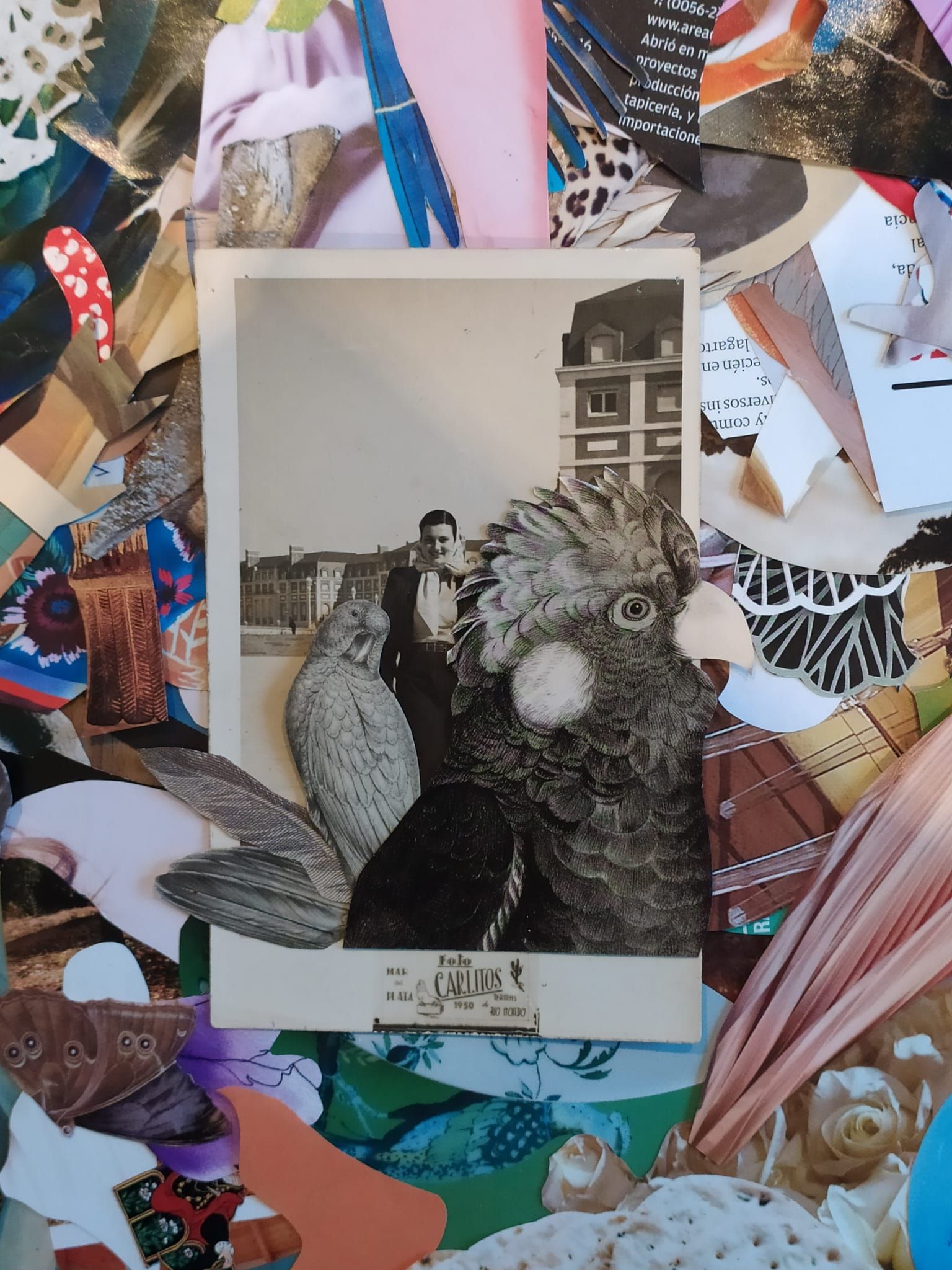 Collage, Antonela Guerra